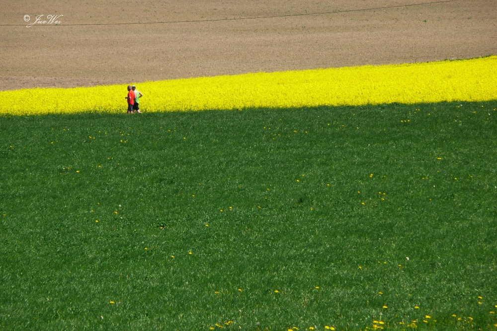 Zum Frühlingsanfang heute