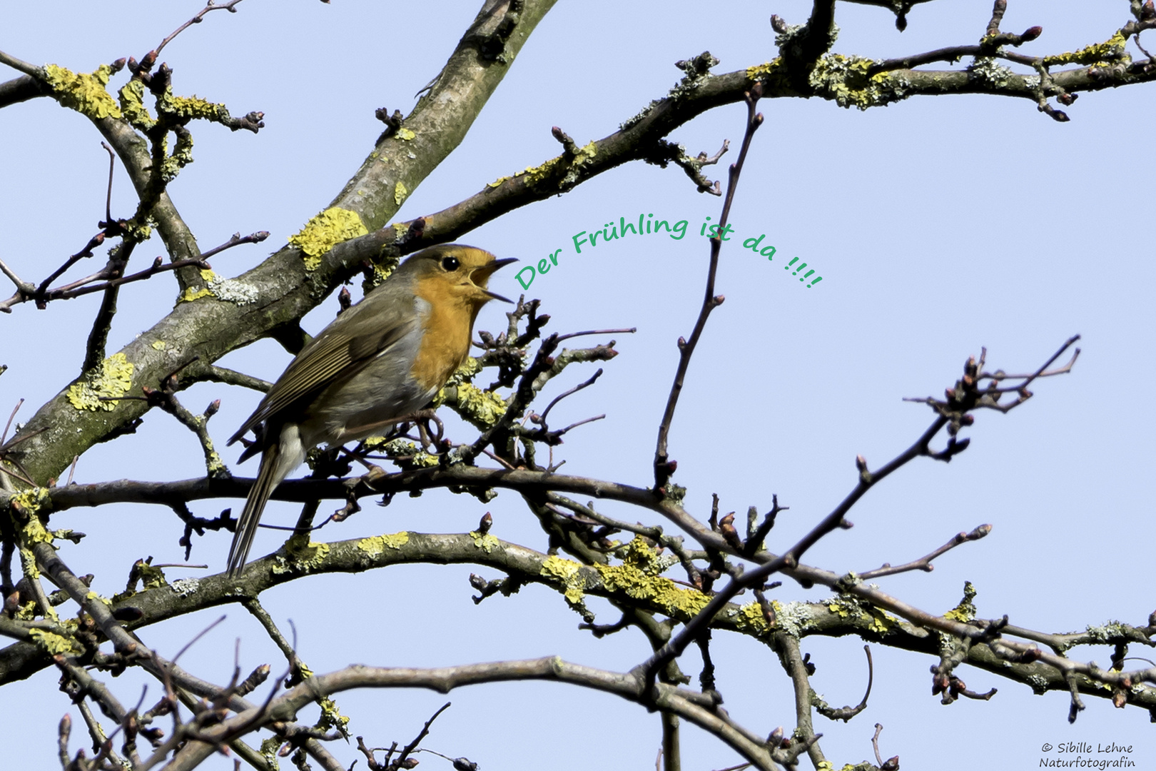 Zum Frühlingsbeginn melde ich mich wieder zurück