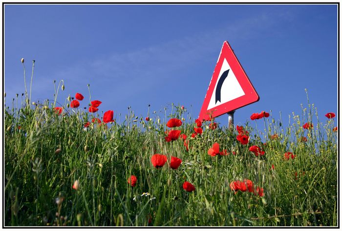 Zum Frühsommer?? - nach rechts!