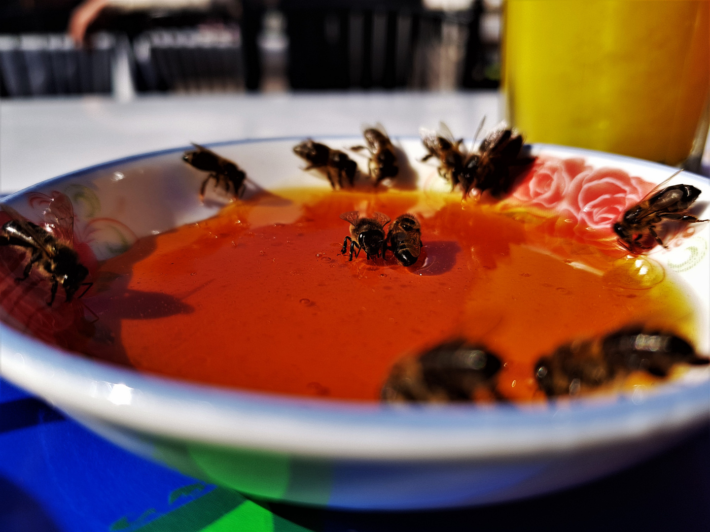 Zum Frühstück gibts Honig-Bienen