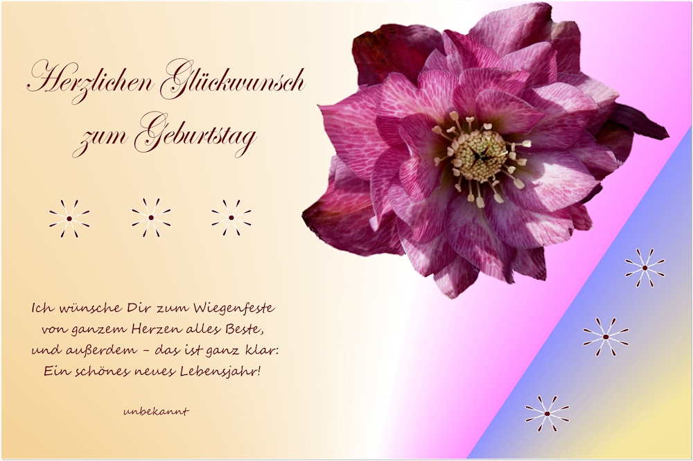 zum GEBURTSTAG 24.1.2014