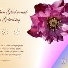 zum GEBURTSTAG 24.1.2014