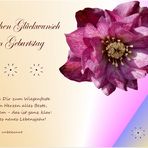 zum GEBURTSTAG 24.1.2014