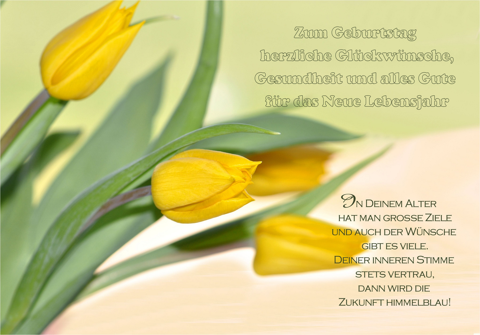 zum Geburtstag 4.2.2013