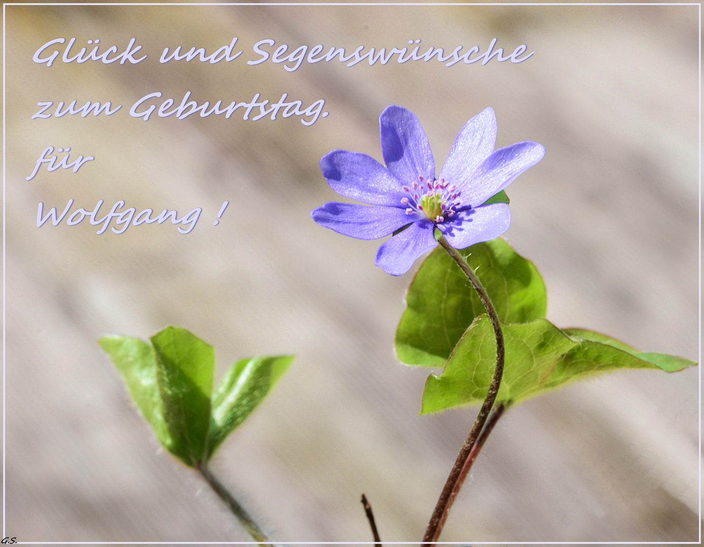 Schone Geburtstagskarte Die Besten Wunsche Zum Geburtstag