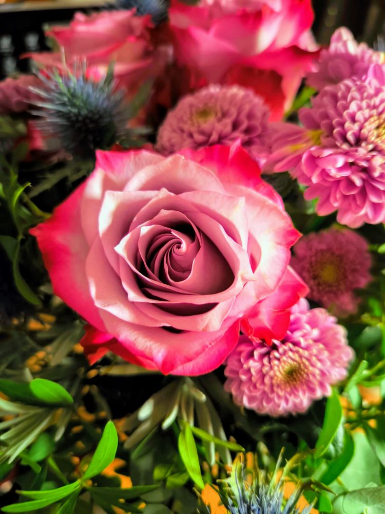 zum Geburtstag einen Blumenstrauß Foto & Bild pflanzen, pilze