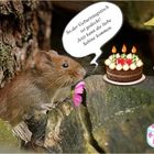 Zum Geburtstag ...