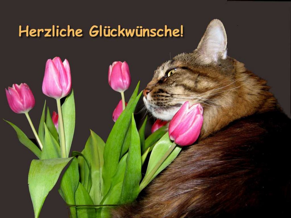 Zum Geburtstag, liebe Ingrid Sihler ...