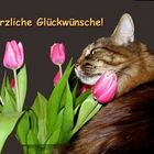 Zum Geburtstag, liebe Ingrid Sihler ...