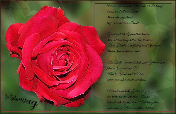 Zum Geburtstag liebe Ross alles Gute