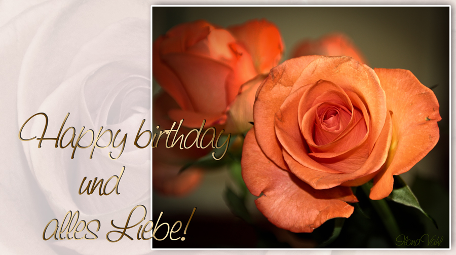 Zum Geburtstag viel Glück, Foto & Bild gratulation und feiertage