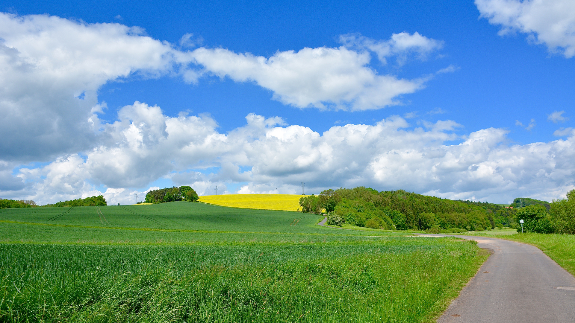 Zum Glück brauchst Du nur grün-gelb-blau-weiß