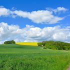 Zum Glück brauchst Du nur grün-gelb-blau-weiß