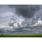 Zum Glück steht da noch ein Baum ;-)