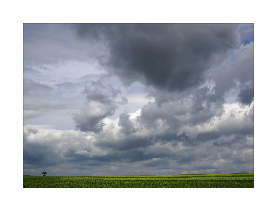 Zum Glück steht da noch ein Baum ;-)