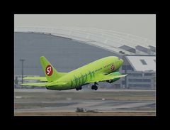 Zum Glück war der Flieger so kräftig in den Farben