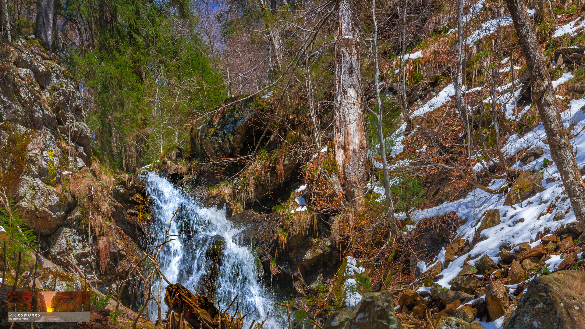 Zum großen Falkenstein