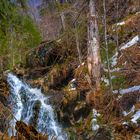 Zum großen Falkenstein