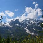 Zum Großglockner...