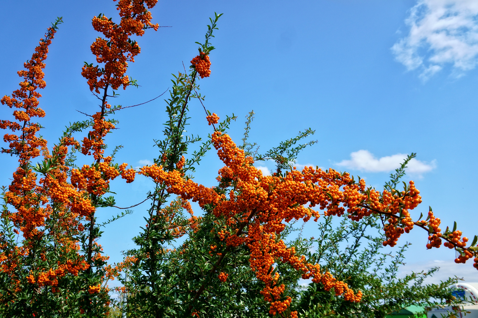 Zum Herbstanfang ein wundervolles Farbspiel aus Orange, Grün und Blau