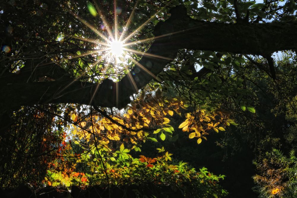 Zum heutigen Herbstbeginn