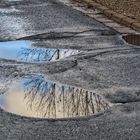 Zum heutigen Spiegeltag - Thementag