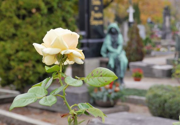 zum heutigen Volkstrauertag
