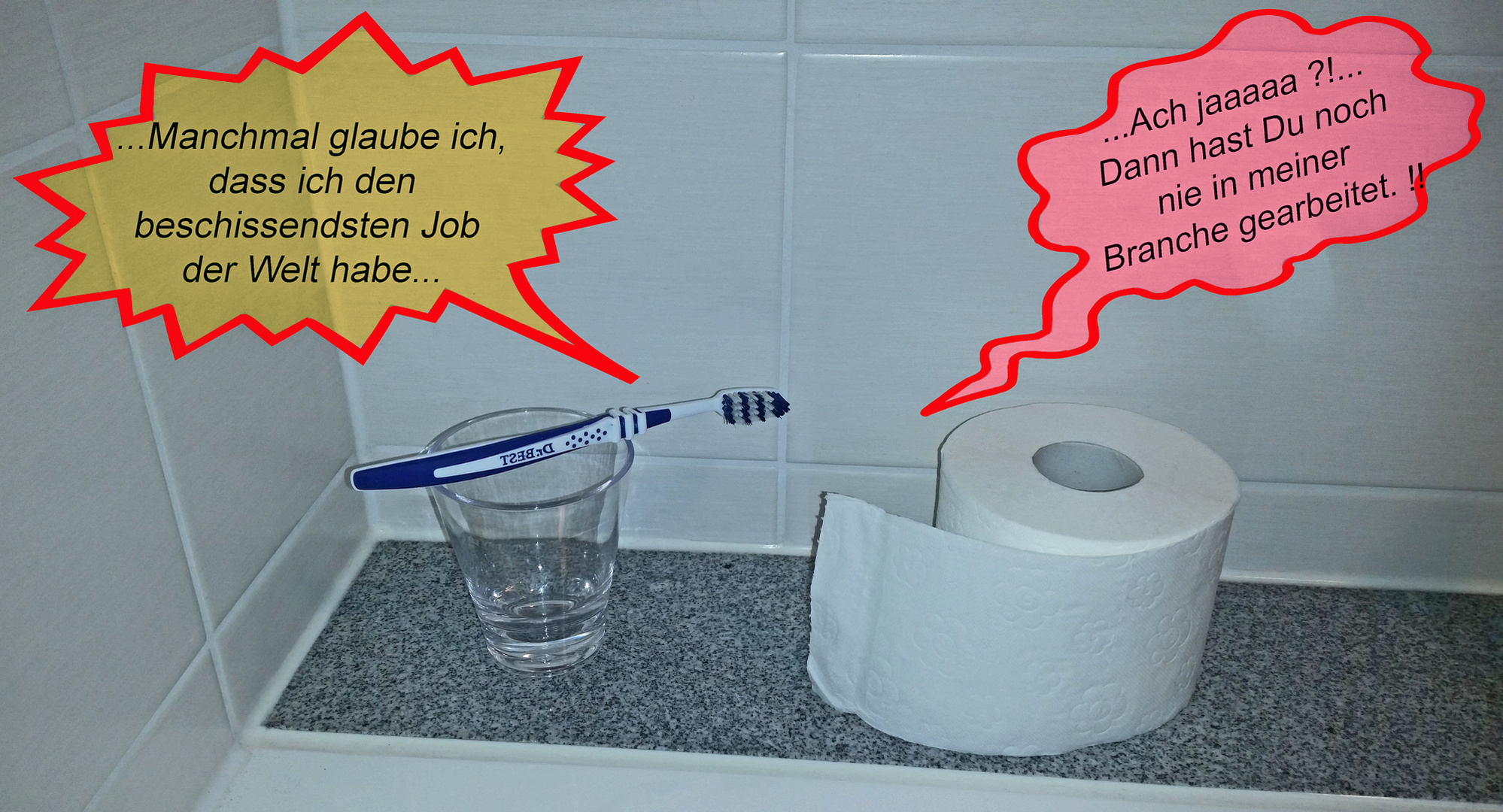 Zum heutigen Welttoilettentag