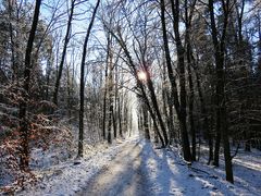 Zum heutigen Winteranfang