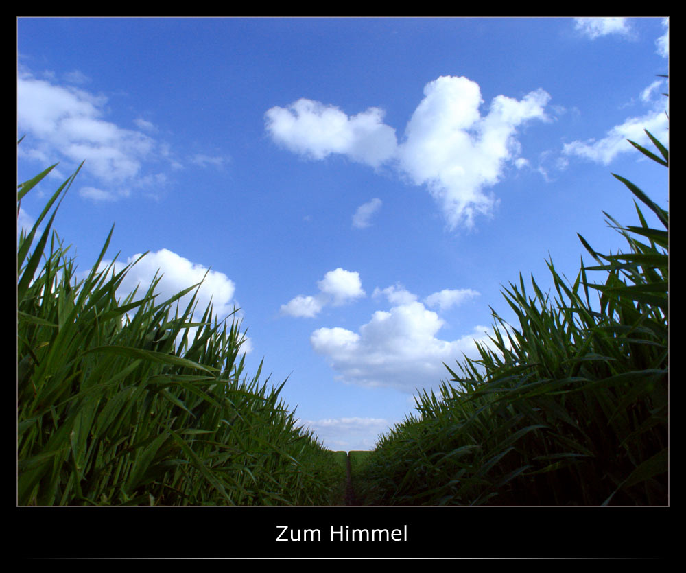 Zum Himmel