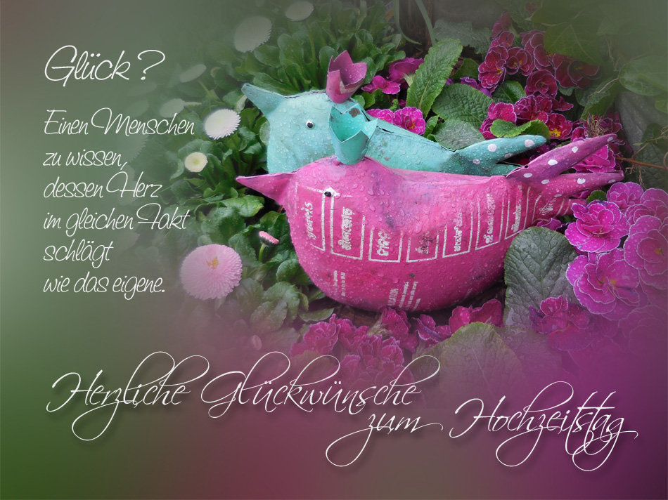 zum hochzeitstag bilder zum hochzeitstag foto bild gratulation und feiertage zum hochzeitstag bilder zum hochzeitstag foto bild gratulation und feiertage
