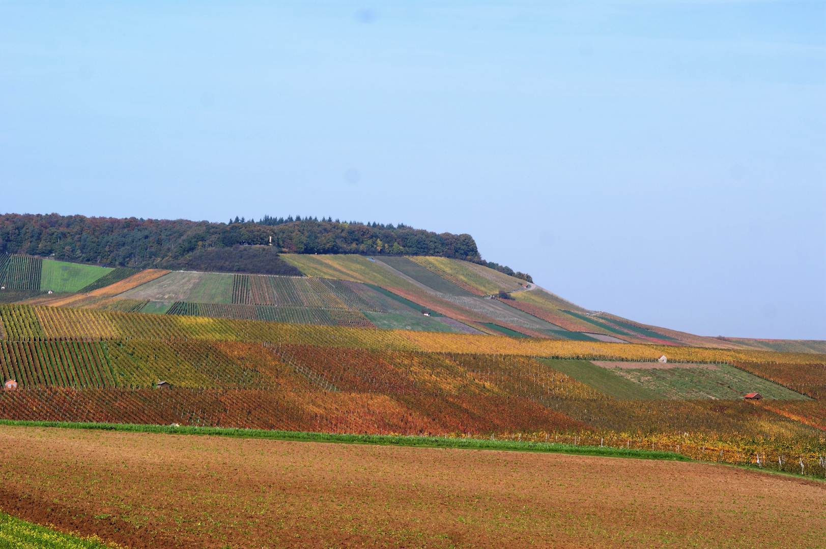 zum Hörnle, Brackenheim