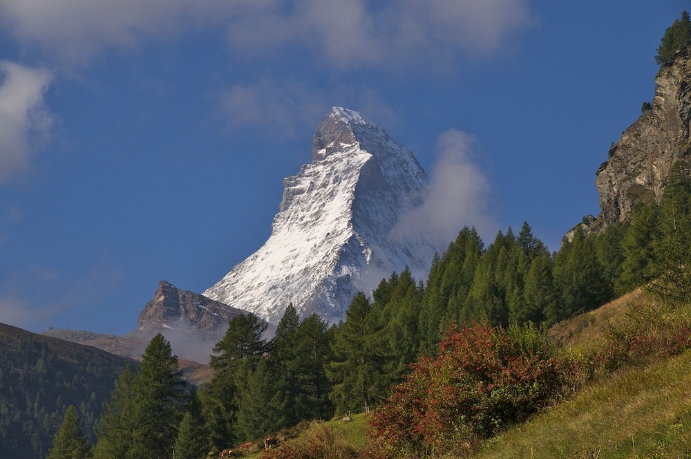 Zum Jahresausklang