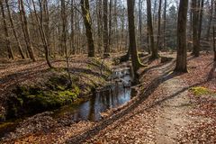 Zum kalendarischen Frühlingsanfang