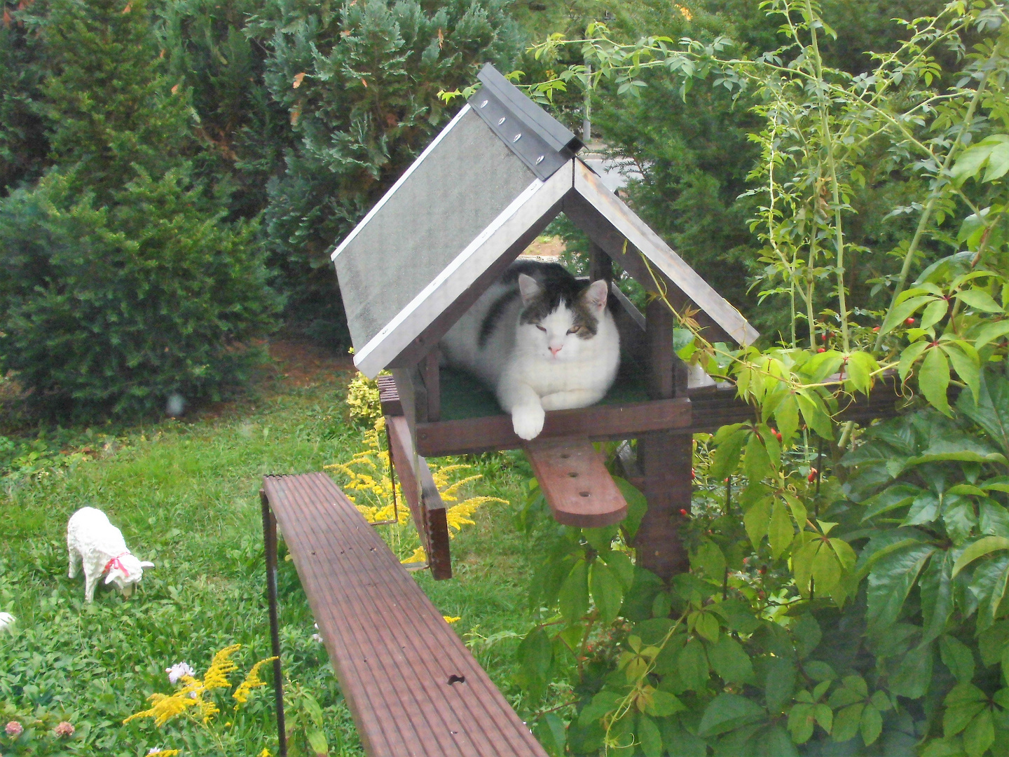 Zum Kinder (Katzen) Tag