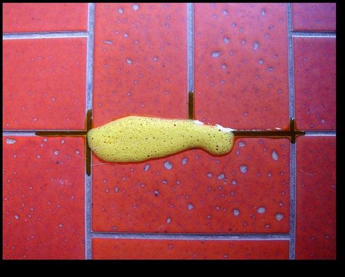 :::((( zum kotzen ...