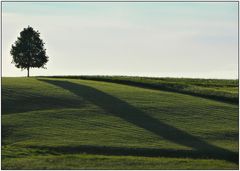 zum längsten Tag I