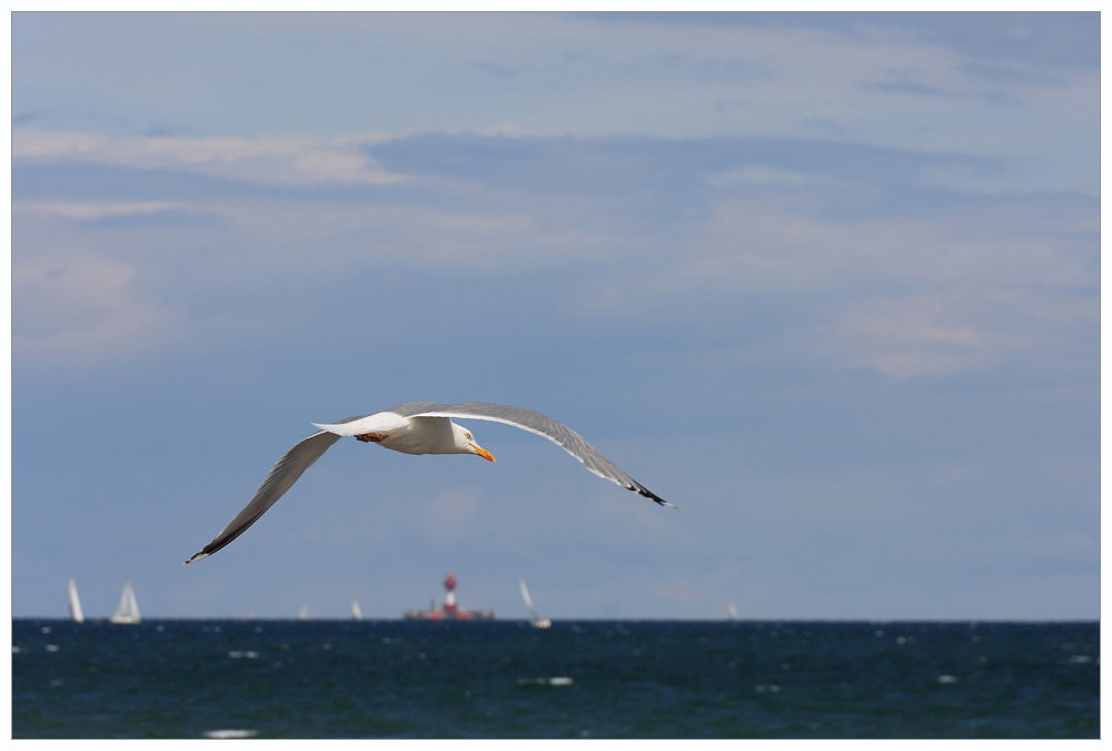 Zum Leuchtturm - immer geradeaus