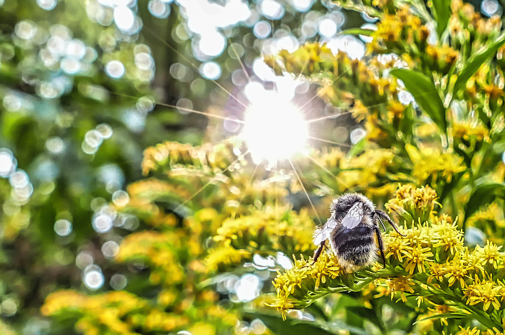 Zum Licht