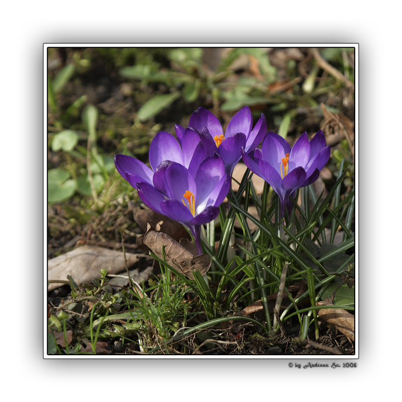 Zum meteorologischen Frühlingsanfang...