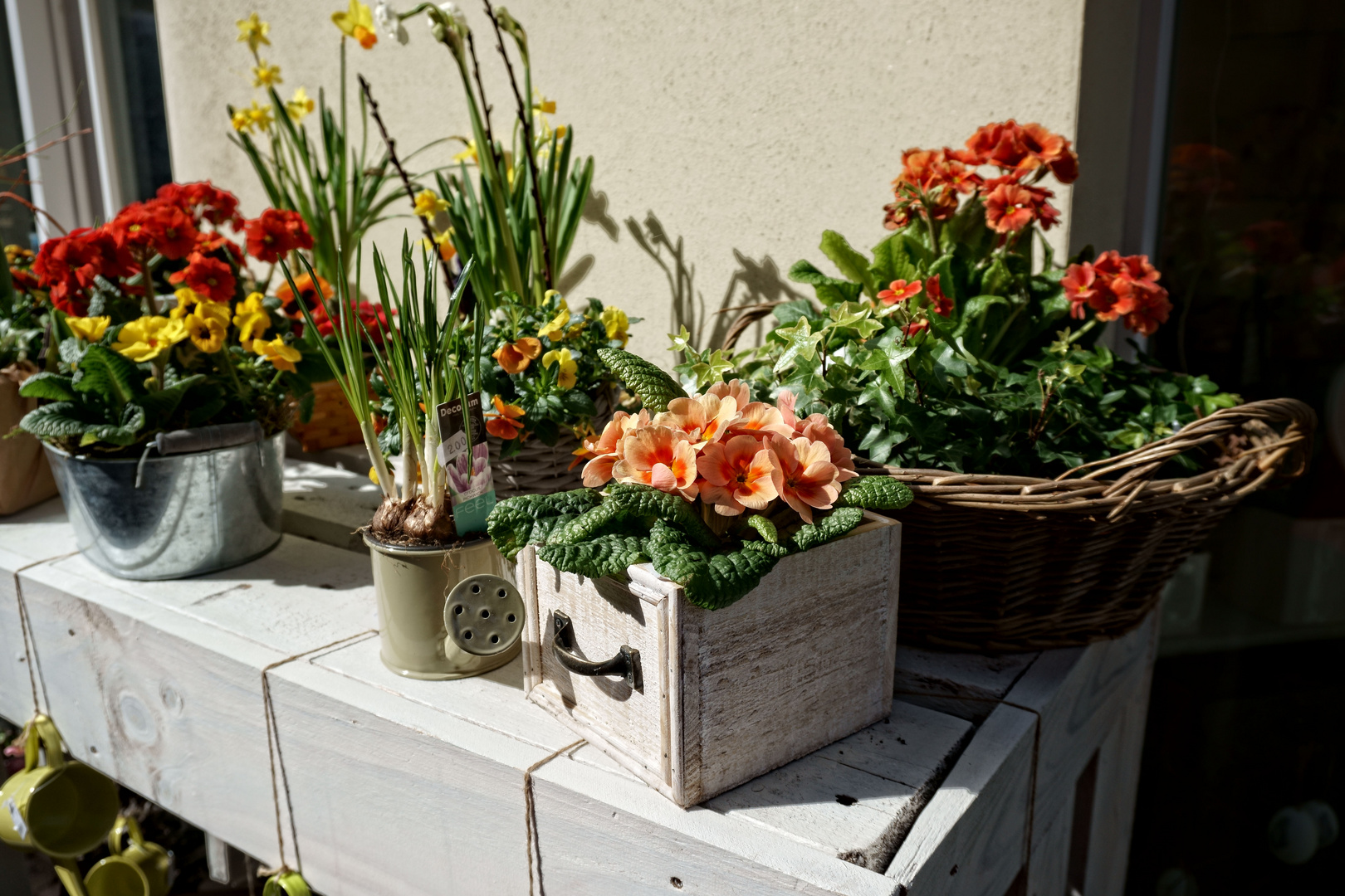 Zum Mittwoch gibt es Blümchen ...