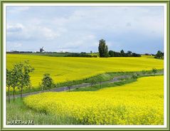 Zum Mühlentag  (mit Gedicht)