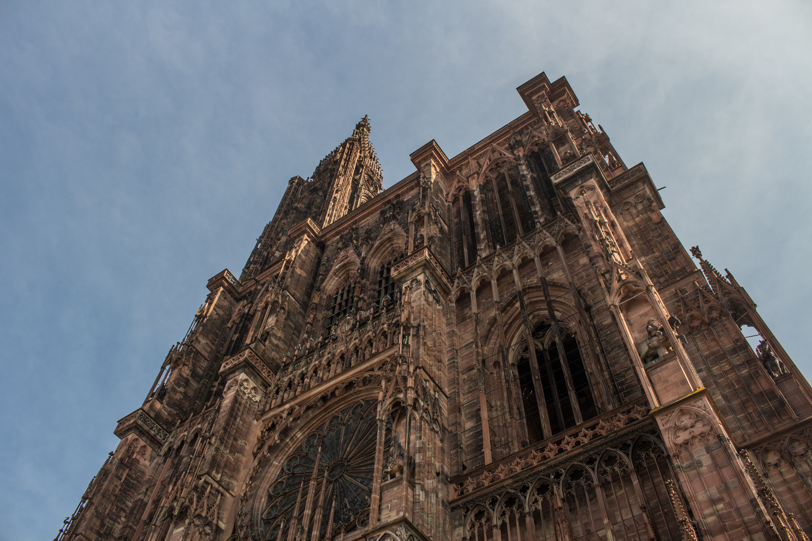 Zum Münster hochblickend