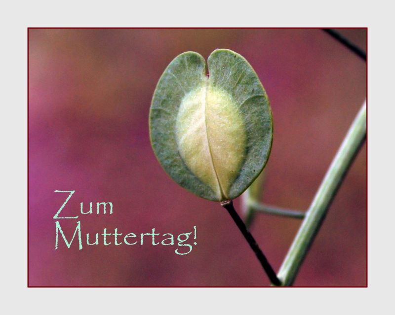 Zum Muttertag