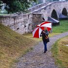 Zum Nationaltag des Regenschirms...