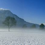 Zum Nebel der Schnee!