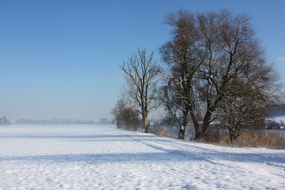 Zum neuen Jahr, mit Schnee von gestern....