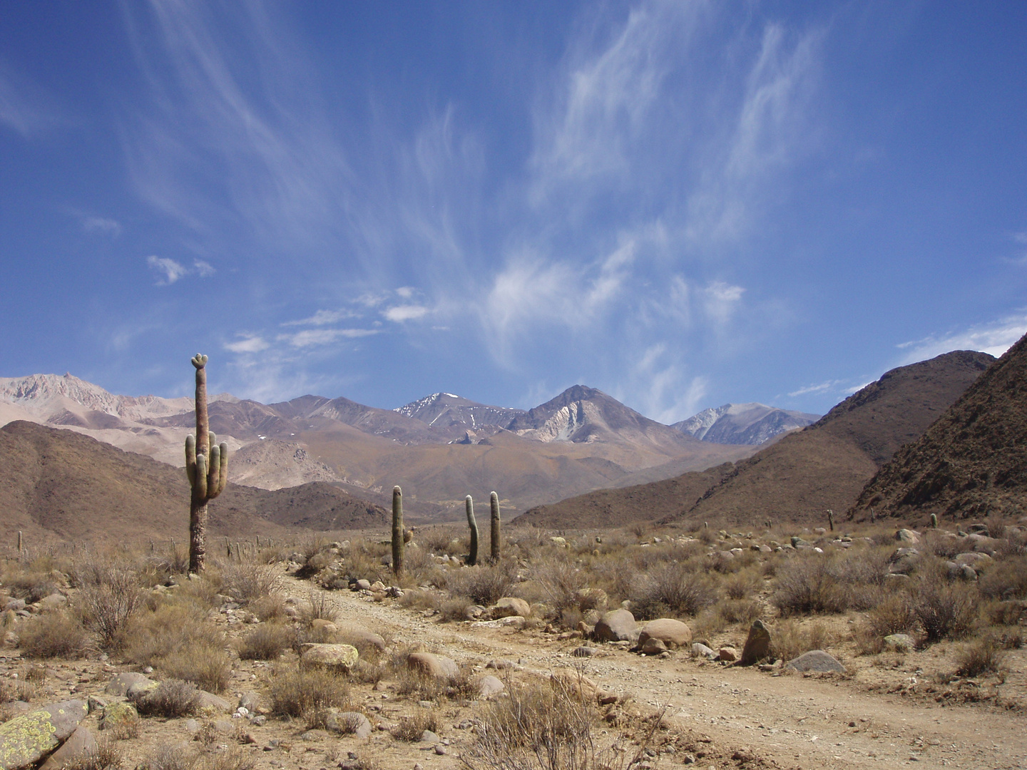 Zum Nevado de Cachi in Salta Argentinien