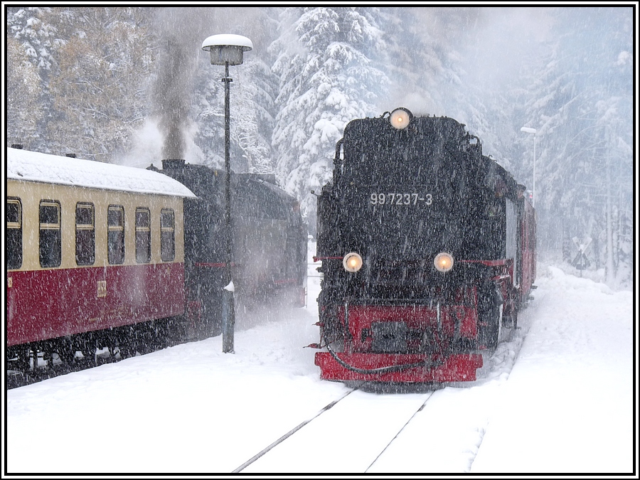 Zum Nikolaustag