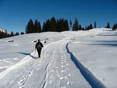 Zum Ölberg